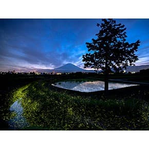  201912_sonyphoto_top01