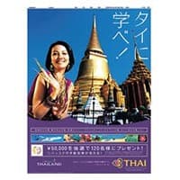 20080101_thaiair
