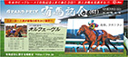 2013年12月19日付　朝刊　全５段　日本中央競馬会