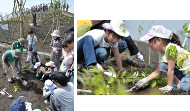 子どもたちが午前10時から一斉に植樹（＝５月22日、東京湾「海の森」）
