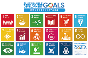 （図３）国連が策定する「SDGs」